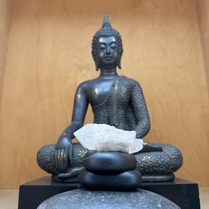 Trott Naomi 様のお写真